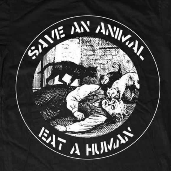 Meet your Posher, Venus - Picture 4 of 16